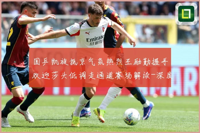 国乒凯旋抵京气氛热烈王励勤握手欢迎莎头低调走通道赛场解读-深度解析