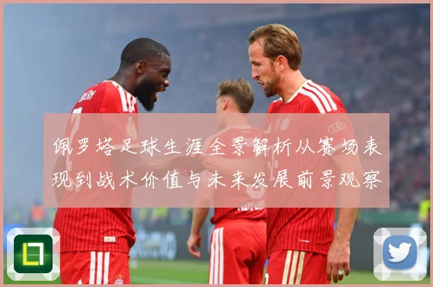 佩罗塔足球生涯全景解析从赛场表现到战术价值与未来发展前景观察-深度解析