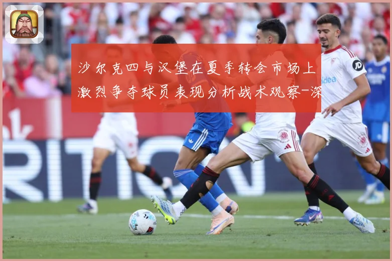 沙尔克四与汉堡在夏季转会市场上激烈争夺球员表现分析战术观察-深度解析