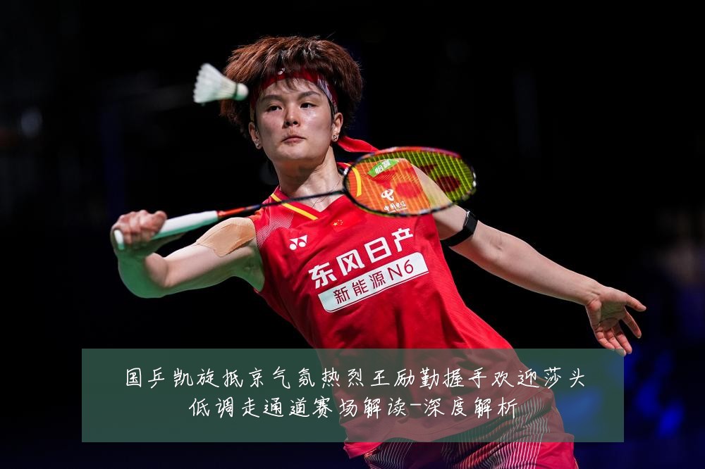 国乒凯旋抵京气氛热烈王励勤握手欢迎莎头低调走通道赛场解读-深度解析