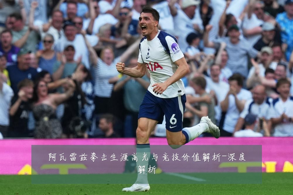 阿瓦雷兹拳击生涯高光与竞技价值解析-深度解析